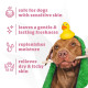Espree Simple Soothe Dog Shampoo & Conditioner With Baking Soda шампунь-кондиционер для собак с раздраженной кожей, 591 мл - фото 4