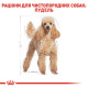 Royal Canin Poodle Adult сухой корм для собак породы пудель, 500 гр - фото 3