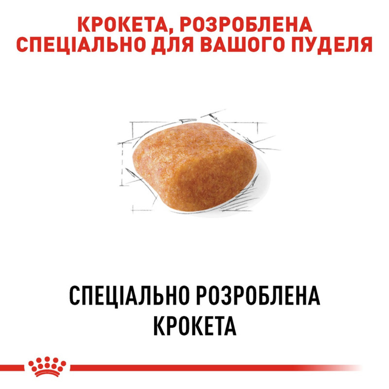 Royal Canin Poodle Adult сухой корм для собак породы пудель, 500 гр - фото 4