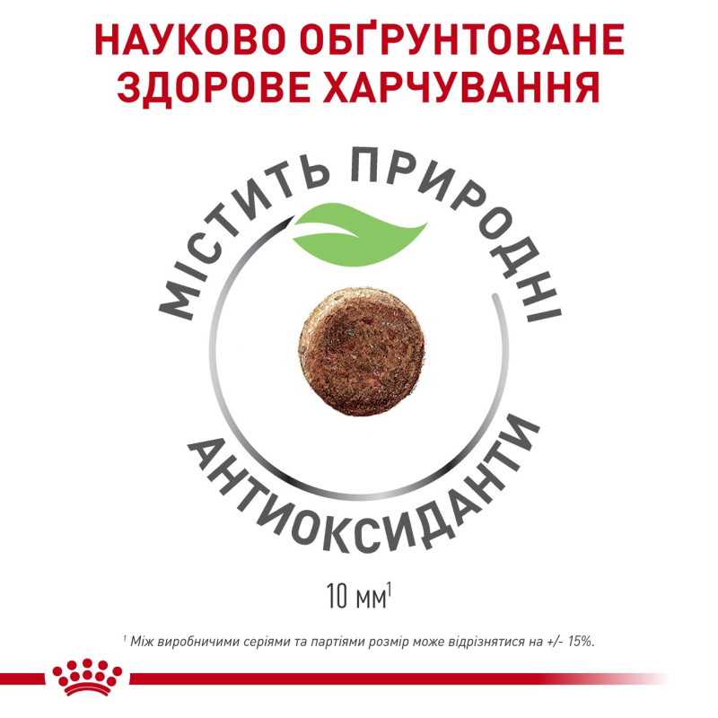 Royal Canin Queen сухой корм для беременных кошек, 4 кг - фото 3