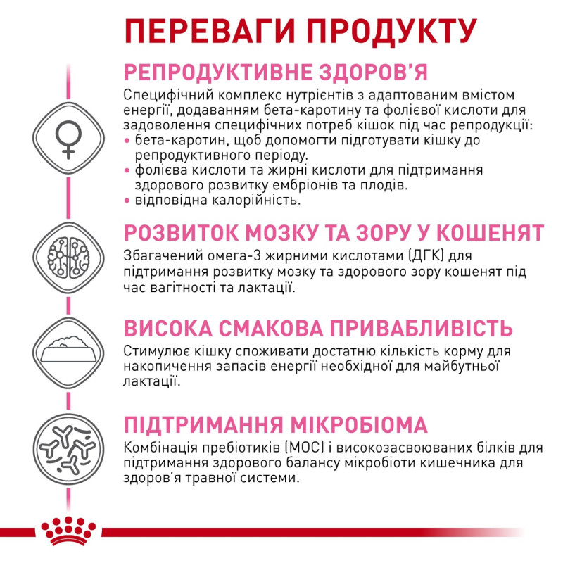 Royal Canin Queen сухой корм для беременных кошек, 4 кг - фото 4
