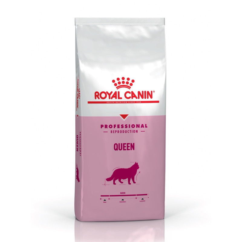 Royal Canin Queen сухой корм для беременных кошек, 4 кг