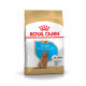 Royal Canin Poodle Puppy сухой корм для щенят породы пудель, 500 гр - фото 1