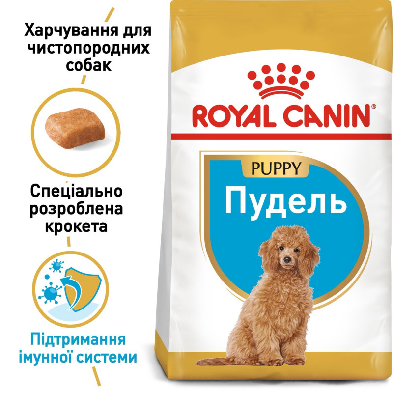 Royal Canin Poodle Puppy сухой корм для щенят породы пудель, 500 гр - фото 2