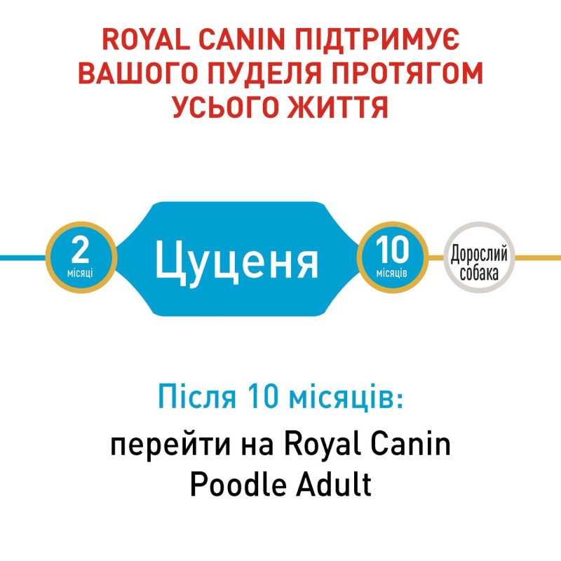 Royal Canin Poodle Puppy сухий корм для цуценят породи пудель, 500 гр - фото 3