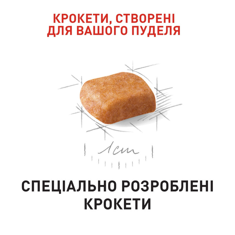 Royal Canin Poodle Puppy сухий корм для цуценят породи пудель, 500 гр - фото 4
