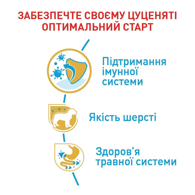 Royal Canin Poodle Puppy сухой корм для щенят породы пудель, 500 гр - фото 5