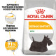 Royal Canin Mini Dermacomfort сухой корм для собак с чувствительной кожей, 3 кг - фото 2
