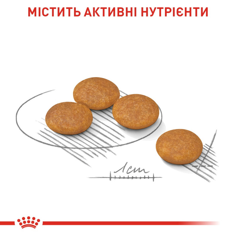 Royal Canin Mini Dermacomfort сухой корм для собак с чувствительной кожей, 3 кг - фото 3