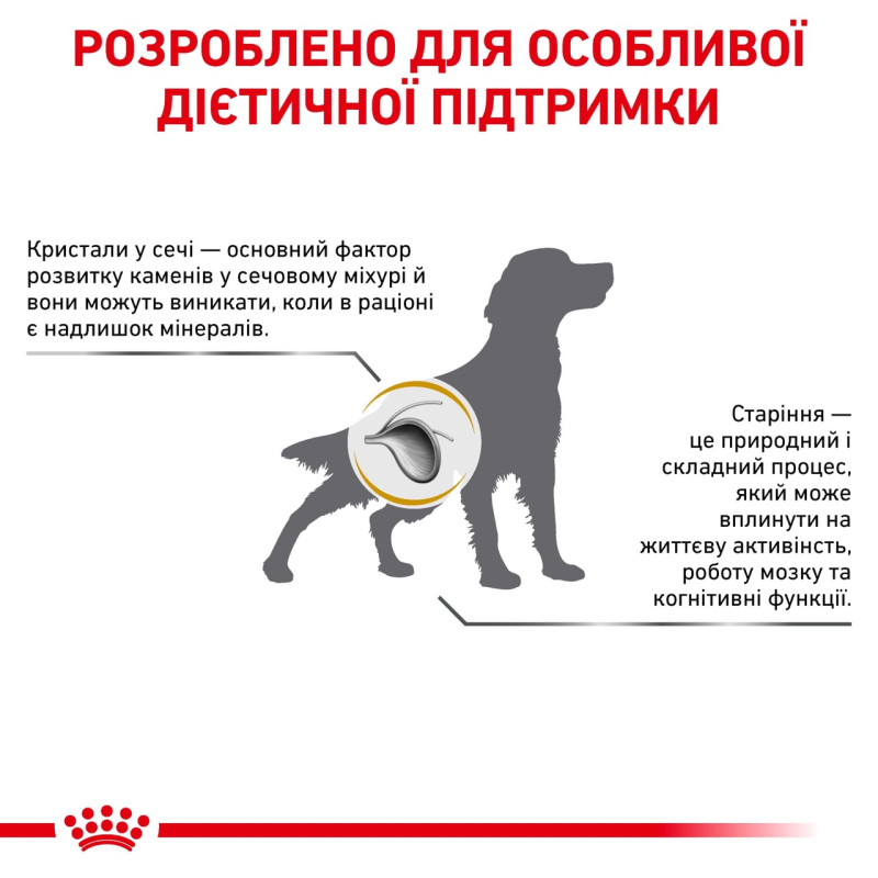 Royal Canin Urinary S/O Ageing 7+ Dog сухой корм для пожилых собак с МКБ, 1.5 кг - фото 2