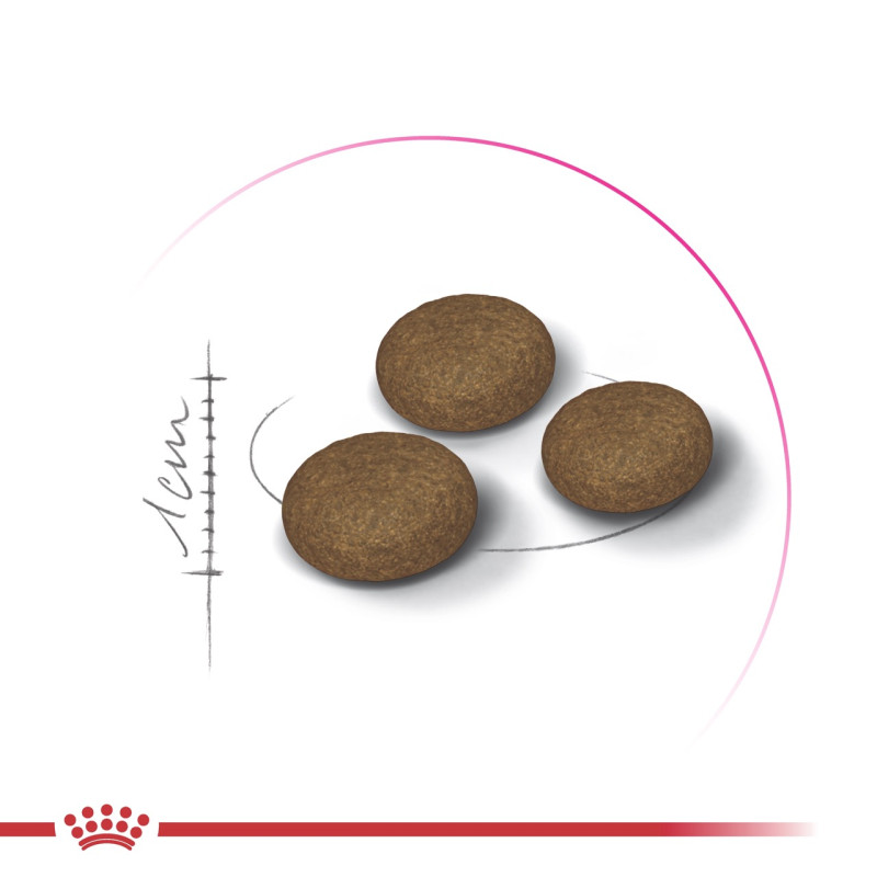 Royal Canin Exigent Fussy сухой корм для привередливых котов, 2 кг - фото 3