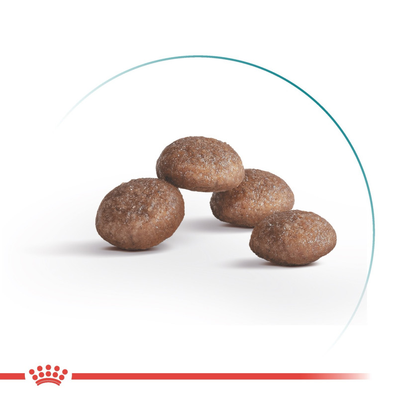 Royal Canin Ageing 11+ сухой корм для пожилых кошек, 2 кг - фото 3