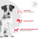 Royal Canin Glycobalance Small Dog сухой корм для собак малых пород при сахарном диабете, 1.5 кг - фото 3