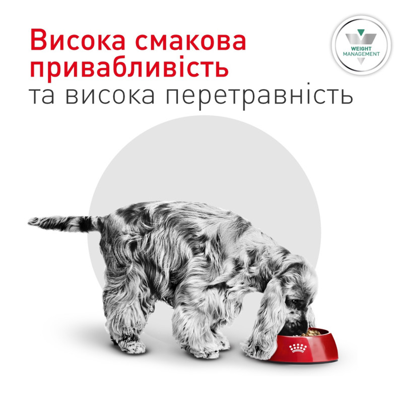 Royal Canin Glycobalance Small Dog сухой корм для собак малых пород при сахарном диабете, 1.5 кг - фото 4