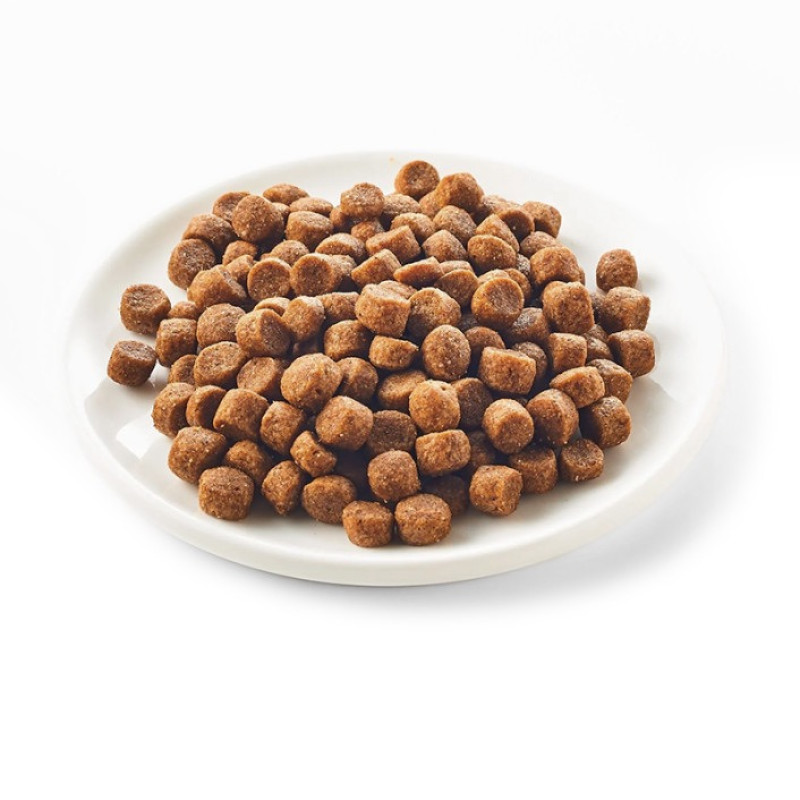 Kattovit Veterinary Gastro сухий корм для котів при захворюваннях ШКТ, 1.25 кг - фото 2