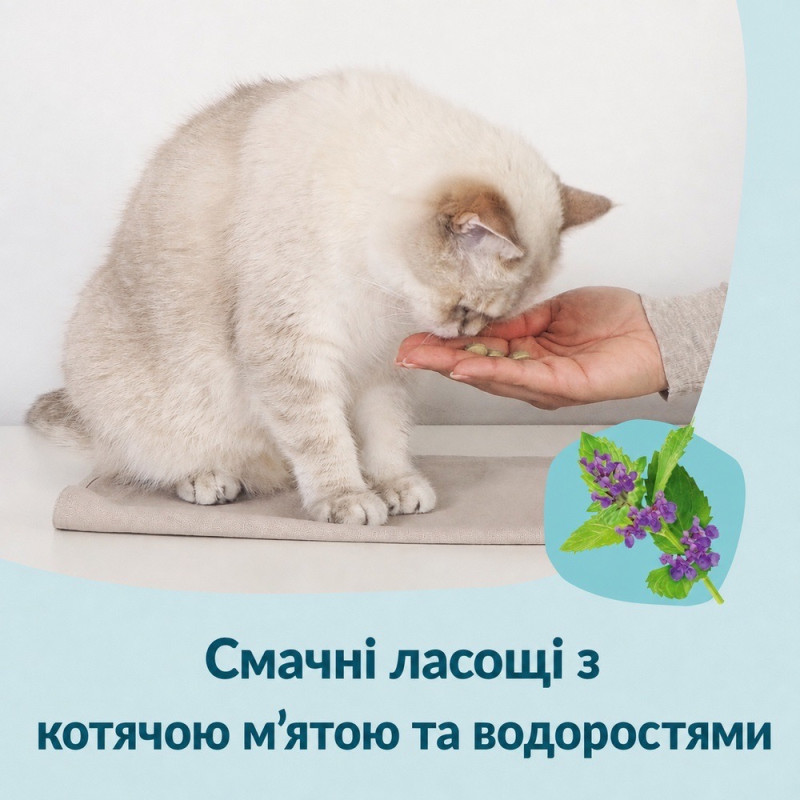 GimCat Nutri Dental Bites лакомства для здоровья зубов у котов, 40 г - фото 5
