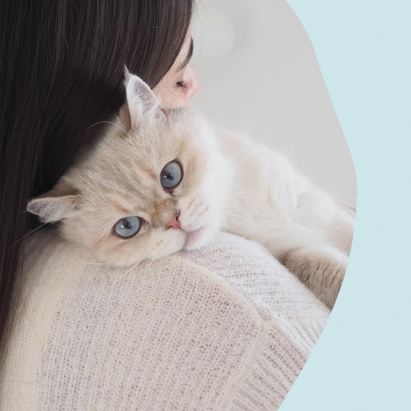 GimCat Nutri Dental Bites лакомства для здоровья зубов у котов, 40 г - фото 6