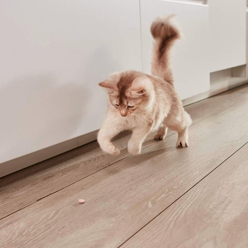 GimCat Nutri Dental Bites лакомства для здоровья зубов у котов, 40 г - фото 8