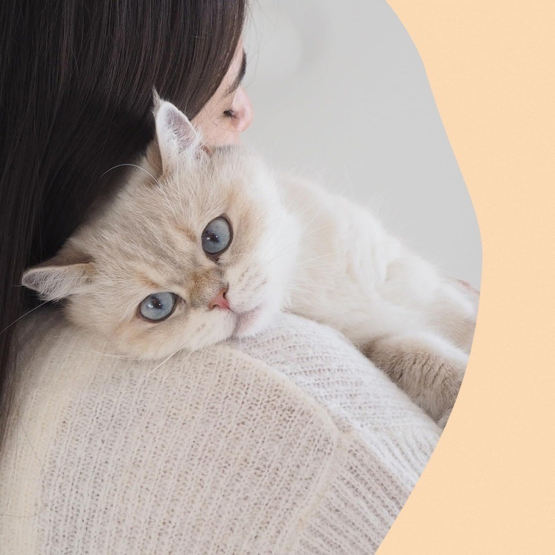 GimCat Nutri Vitamin Bites ласощі для котів з вітамінами, 40 г - фото 6