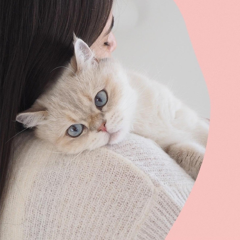 GimCat Nutri Biotin Bites лакомство для котов с биотином, 40 г - фото 5