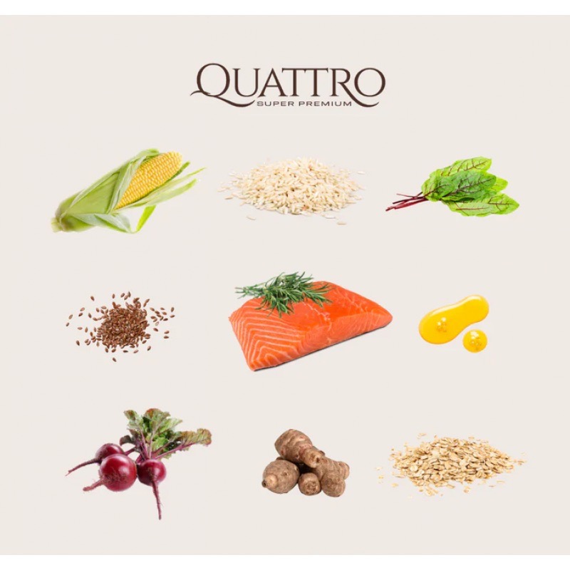 Quattro Adult Mini Salmon сухий корм із лососем для собак малих порід, 1.5 кг - фото 2
