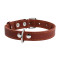 Collar шкіряний нашийник для собак, 38-50 см, коричневий