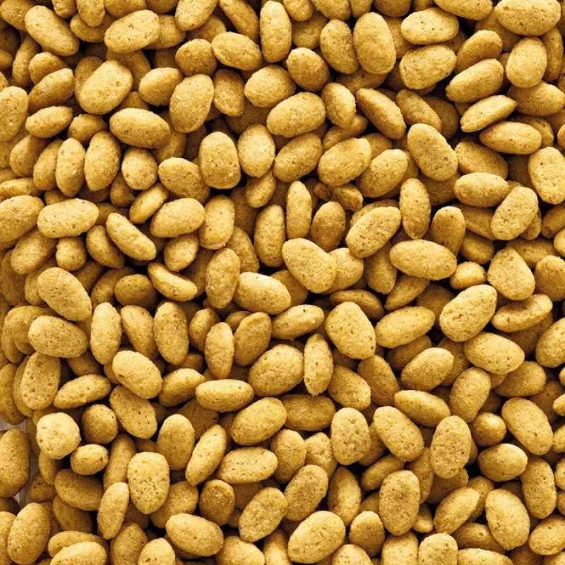 Versele-Laga NutriBird P19 Original Breeding корм для разведения крупных попугаев, 100 гр - фото 2