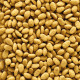 Versele-Laga NutriBird P19 Original Breeding корм для розведення великих папуг, 100 гр - фото 2