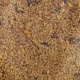 Versele-Laga NutriBird Gold Patee Forest Fusion корм з медом та ягодами для птахів, 250 гр - фото 2