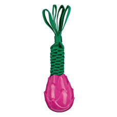 AnimAll GrizZzly Pitahaya іграшка для собак, 24 см