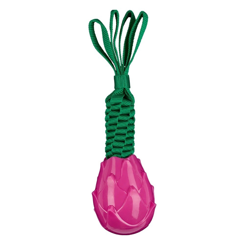 AnimAll GrizZzly Pitahaya іграшка для собак, 24 см