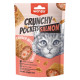 Wanpy Crunchy Pockets Salmon & Roe лакомство для котов с лососем, 70 г - фото 1