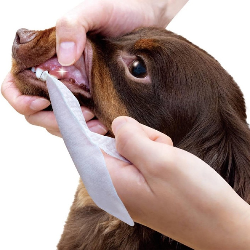 DoggyMan Dental Care Finger Wipes гигиенические салфетки для ухода за зубами животных, 50 шт - фото 4