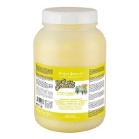Iv San Bernard Ginger And Elderberry маска дезинфицицирующая с имбирем и бузиной для собак и котов, 3 л