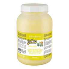 Iv San Bernard Ginger And Elderberry маска дезінфекційна з імбиром та бузиною для собак та котів, 3 л