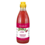 Iv San Bernard Black Cherry шампунь для короткошерстных собак и котов с протеинами шелка и вишни, 1 л