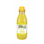 Iv San Bernard Ginger and Elderberry шампунь дезинфицирующий для собак и котов, 500 мл