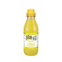 Iv San Bernard Ginger and Elderberry шампунь дезинфицирующий для собак и котов, 500 мл