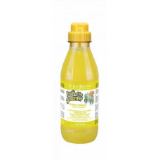 Iv San Bernard Ginger and Elderberry шампунь дезинфицирующий для собак и котов, 500 мл