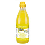 Iv San Bernard Ginger and Elderberry шампунь дезинфицирующий для собак и котов, 1 л