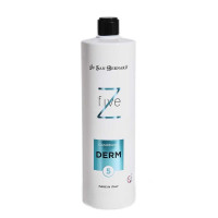 Iv San Bernard Derm Conditioner Z5 кондиціонер для собак та котів при пошкодженій або подразненій шкірі, 1 л