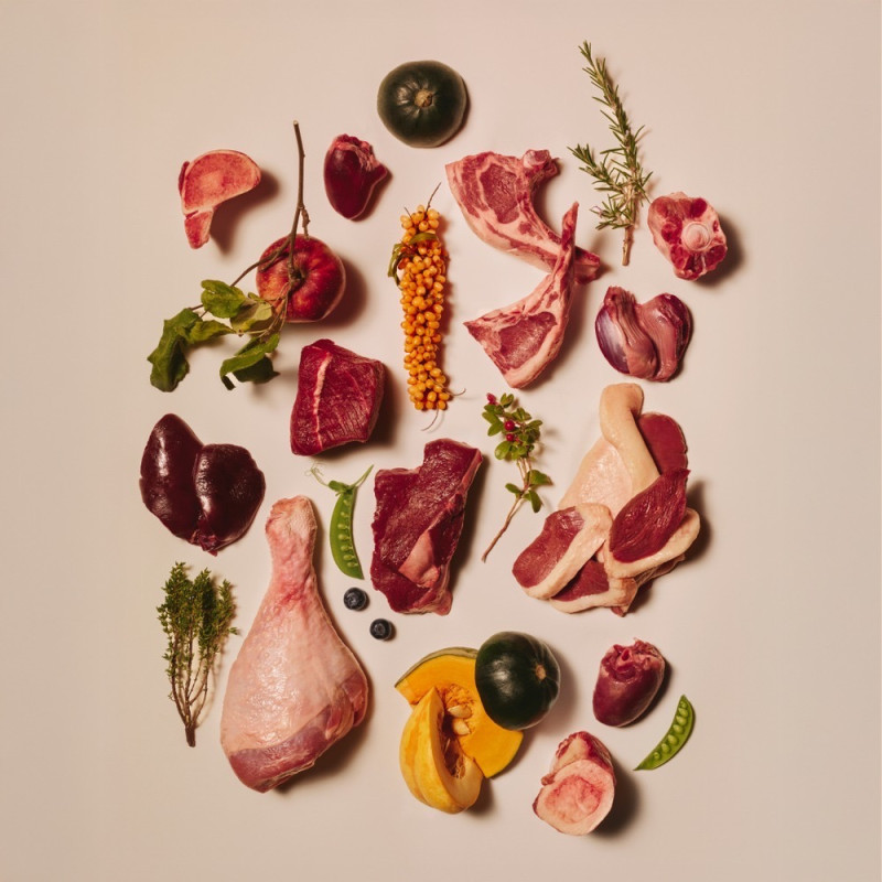 Carnilove Gravy Multipack набор влажного корма для котов, 12 шт x 85 гр - фото 2