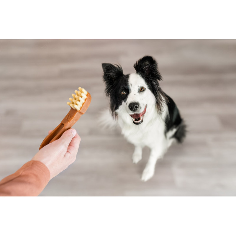 Whimzees Toothbrush L лакомства для чистки зубов у собак крупных пород, 6 шт - фото 6