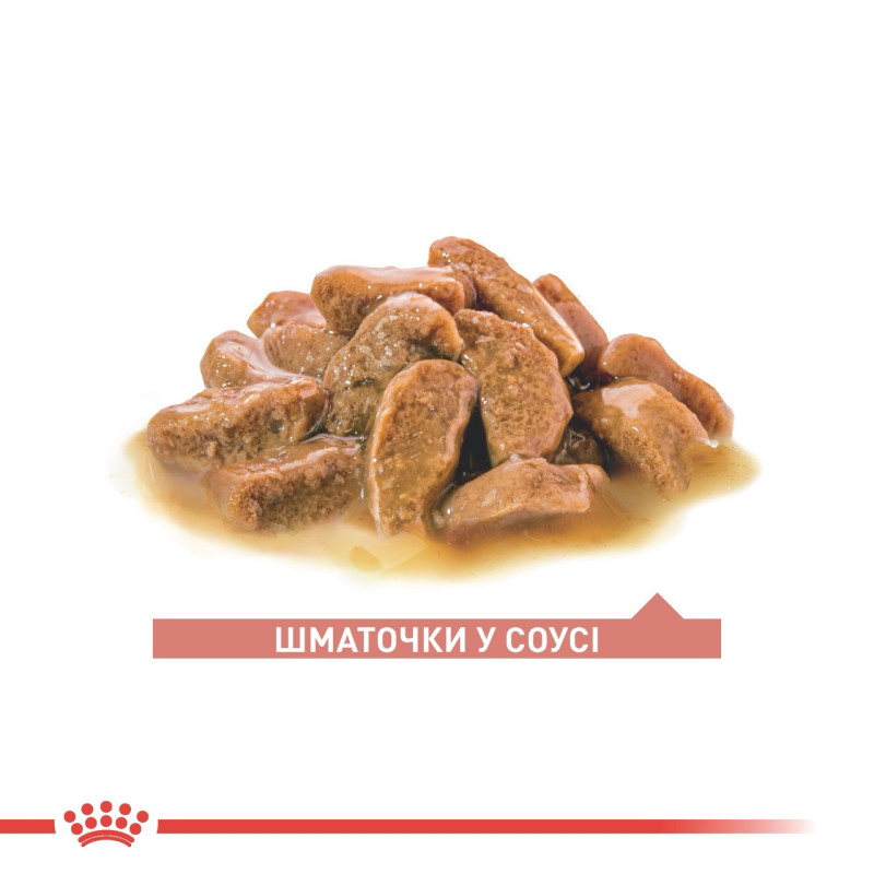 Royal Canin Ageing 11+ вологий корм для літніх котів усіх порід, 85 гр - фото 2