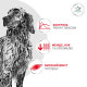 Royal Canin Glycobalance Low Carbohydrate Dog влажный корм для собак с сахарным диабетом, 400 гр - фото 4