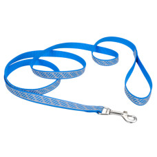 Coastal Lazer Brite Reflective Leash повідець світловідбивний для собак, 1.2 м х 1.6 см, блакитний
