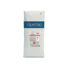 Quattro Adult All Breed сухой корм для собак с говядиной, 15 кг