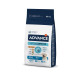 Advance Maxi Adult сухой корм с курицей для собак крупных пород, 14 кг - фото 1