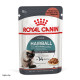 Royal Canin Hairball Care влажный корм для вывода шерсти у котов 85 гр - фото 1