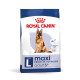 Royal Canin Maxi Adult 5+ сухой корм для собак крупных пород 15 кг - фото 1